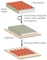 <p>Uses <strong>PDMS (elastomeric molds)</strong> to transfer patterns onto surfaces.</p><p>Cured as a relief pattern from silicone master.</p><p>“stamp”</p><p></p><ul><li><p>inexpensive</p></li><li><p>scalable (over large areas)</p></li><li><p>works for biological materials</p></li></ul><p></p>
