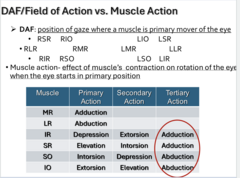 <p>What is the diagnostic action field?</p>