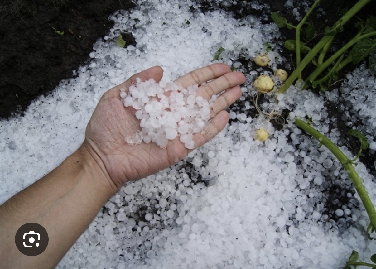 <p>Hail</p>