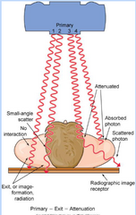 <p>Occupational dose</p>