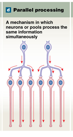 <p>Parallel processing</p>
