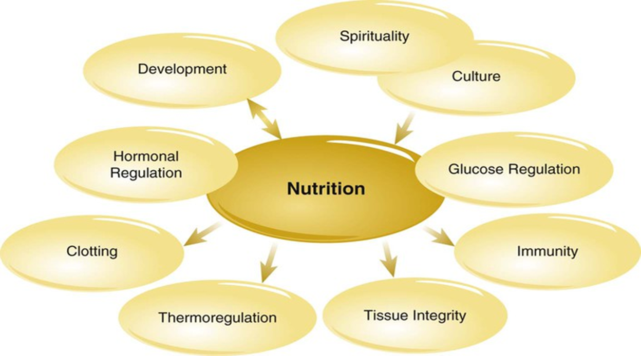 <p><span>Interrelated Concepts pic</span></p>