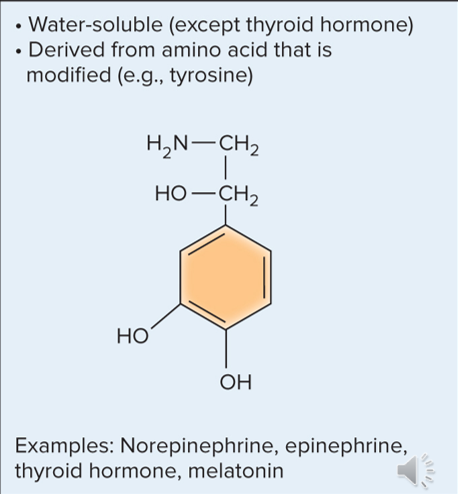 <p>class of hormones that are modified amino acids and water-soluble </p><ul><li><p>Exception: thyroid hormone is nonpolar and lipid-soluble due to a pair of tyrosines </p></li></ul><p></p>