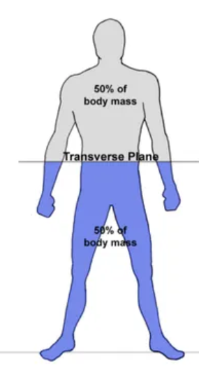 <p>Divides up and down </p>