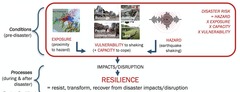 <p>They reveal complex, diverse trends and spatial divergences that challenge simplistic views of recovery.</p>
