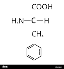 <p>What is this amino acid and its codon?</p>
