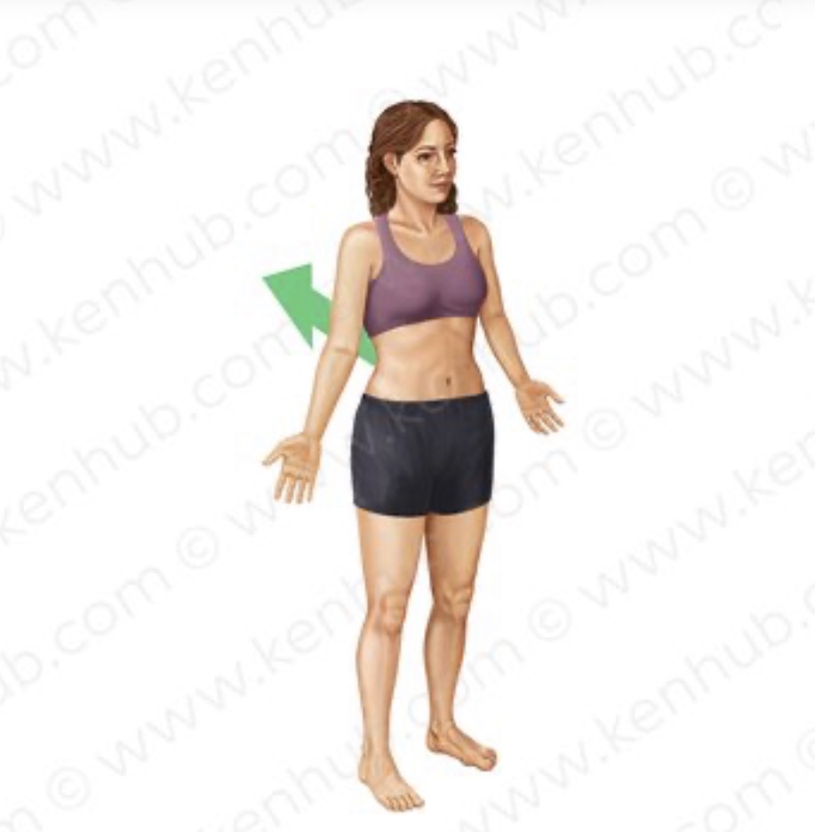 <p>nearer to or at the back of the body </p>