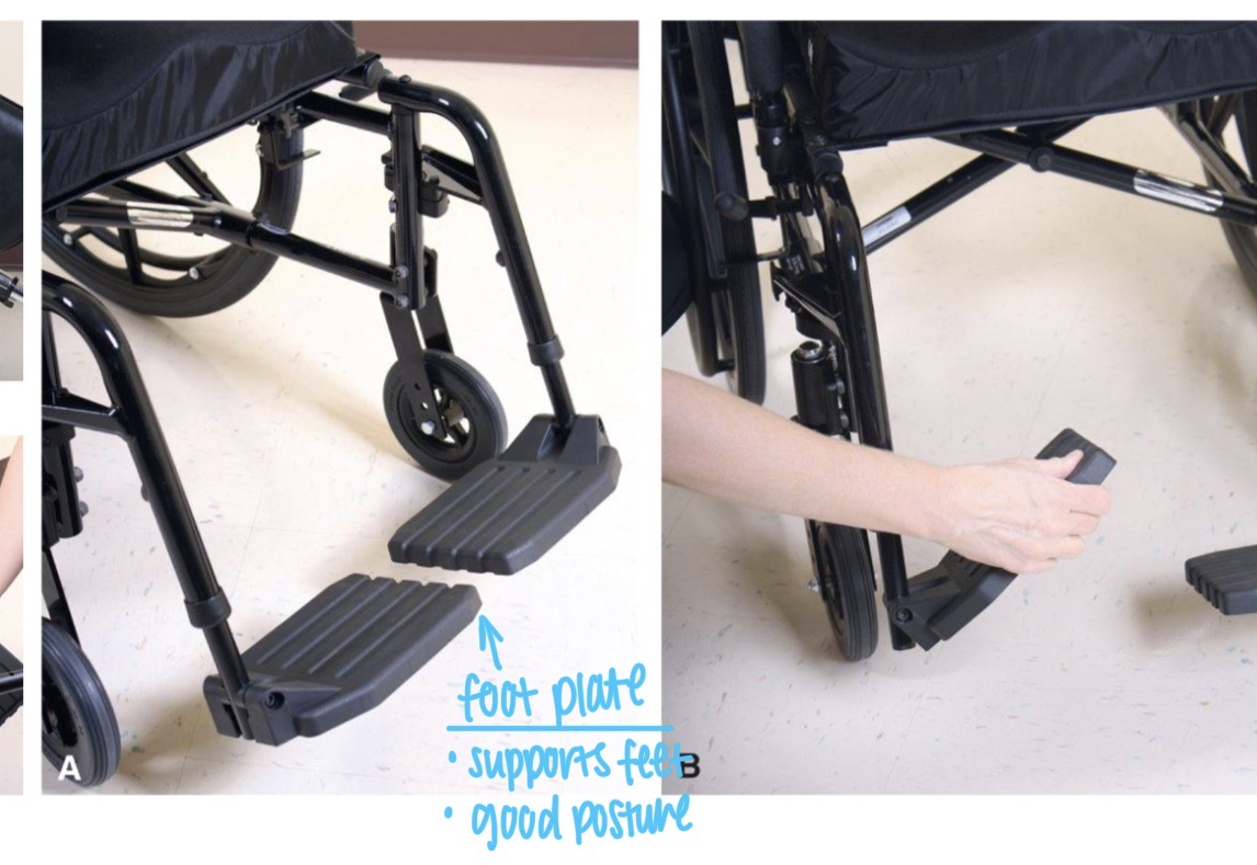 <ol><li><p>Supporting the feet</p></li><li><p>Promoting good posture</p></li></ol><p></p>
