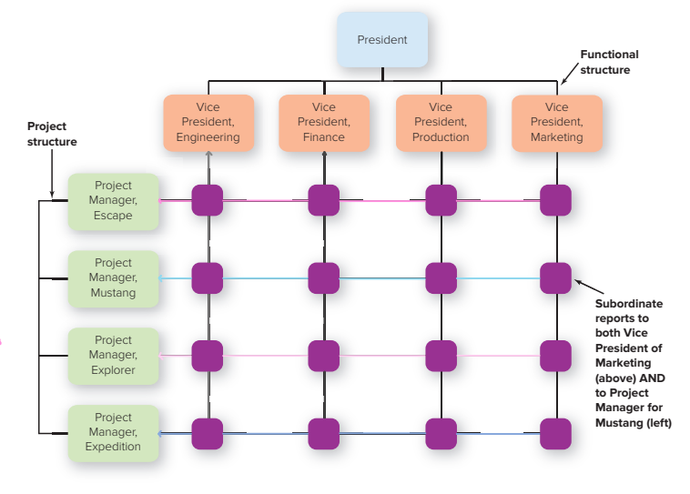 <p>combines functional and divisional chains</p>