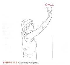 <p>Developed to improve strength and mobility.</p>