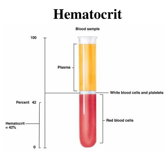 <p>Sample dilution because of low _____-to-_______ ratio may also cause a spurious decrease in _____</p>