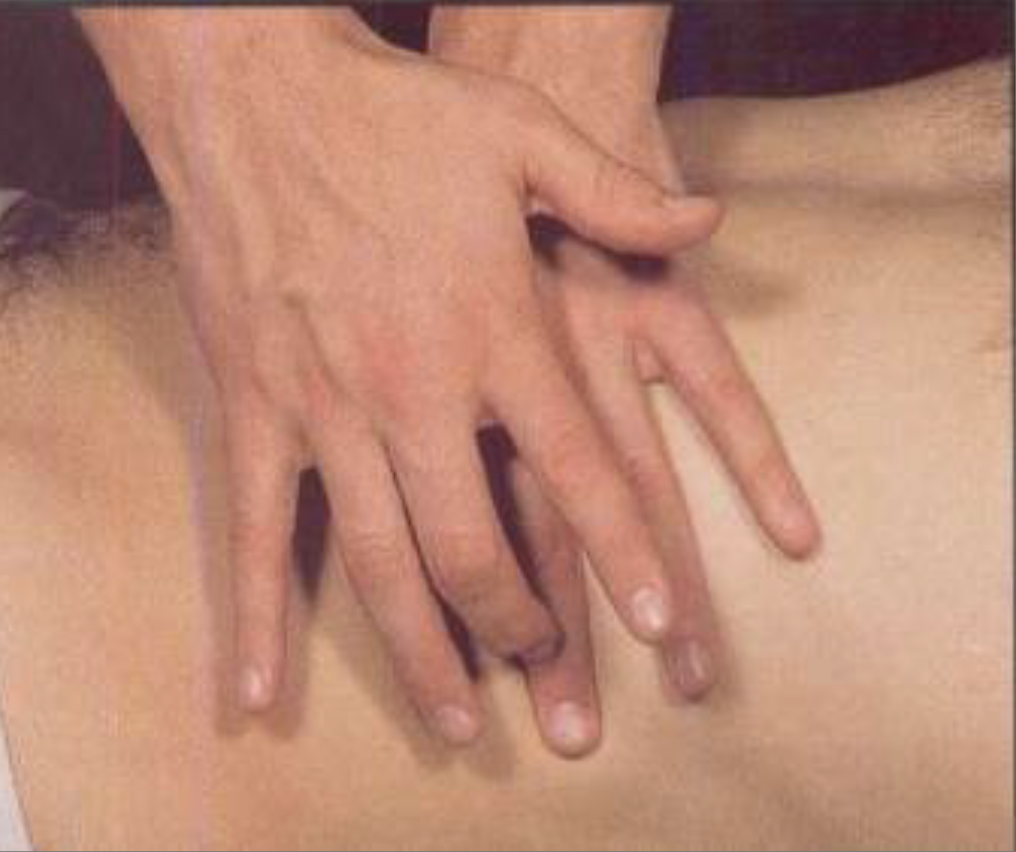 <p>Quan sát hình ảnh khám bụng dưới đây. Đây là kỹ thuật khám bụng nào?</p><p>A. Sờ (Palpation)</p><p>B. Gõ (Percussion)</p><p>C. Nghe (Auscultation)</p><p>D. Nhìn (Inspection)</p>