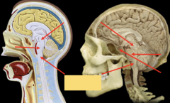 <p>what is the highlighted section pointing to?</p>
