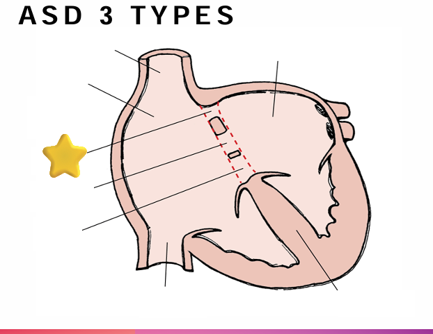 <p>What is this?</p>