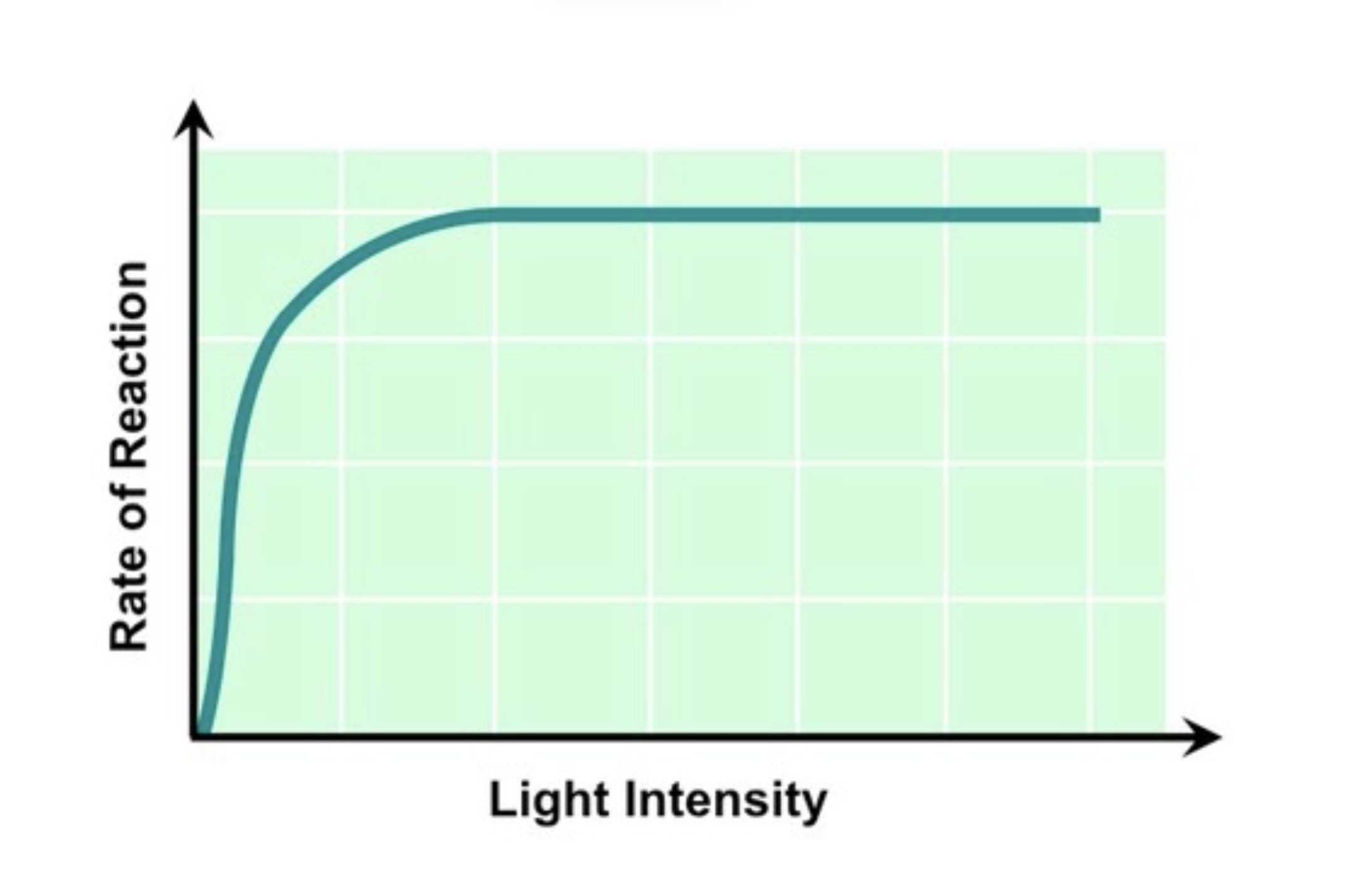 <ul><li><p><strong>Light is absorbed by chlorophyll, which convert the radiant energy into chemical energy (ATP)</strong></p></li><li><p><strong>As light intensity increases reaction rate will increase</strong>, as more chlorophyll are being&nbsp;photo-activated</p></li><li><p>At a <strong>certain light intensity photosynthetic rate will plateau</strong>, as all <strong>available chlorophyll are saturated with light</strong></p></li><li><p>Different wavelengths of light will have different effects on the rate of photosynthesis (e.g. green light is reflected)</p></li></ul><p></p>