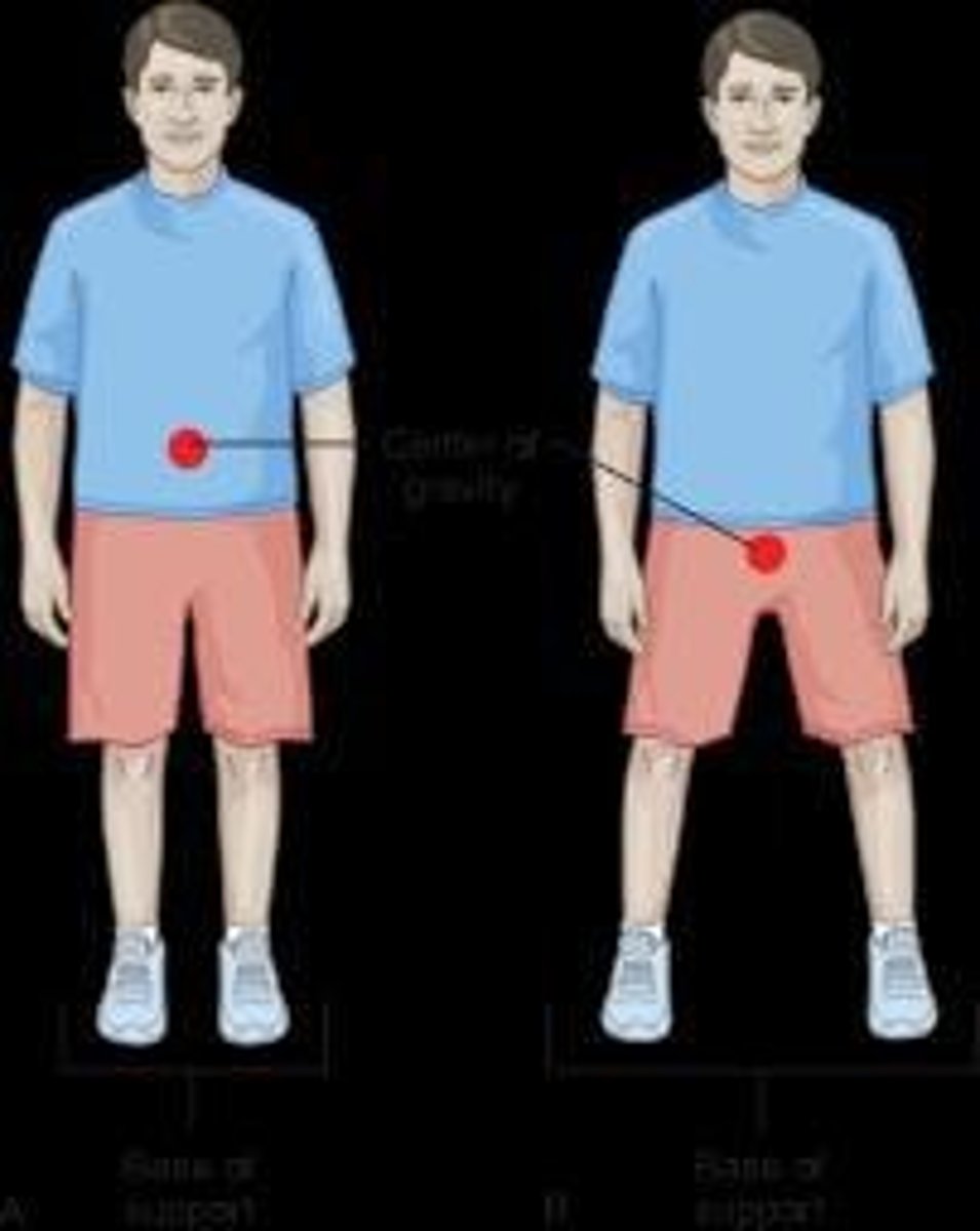 <p>The center of gravity is the central point of weight for an object or the body.</p>