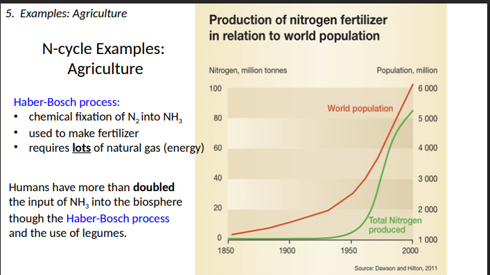 <p>Haber-Bosch process and the use of legumes.</p>