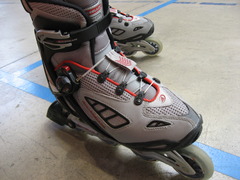 <p>the skates</p>