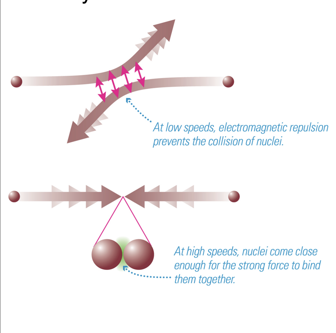 <p> High temperatures enable nuclear fusion to happen in the core (Need T~108K)</p><p><br>Higher temp = faster fusion rates</p><p>Meaning hotter stars fuse fuel <strong>much faster</strong> (This is why massive stars live shorter)</p>
