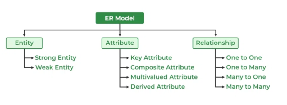 <p>Forms the basis of an ERD </p><ul><li><p>The ERD represents the conceptual database as viewed by the end user</p></li></ul><p></p><p></p>