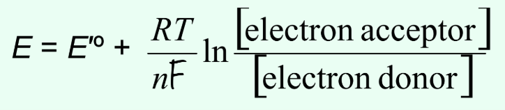<p>What does the Nernst equation describe?</p>