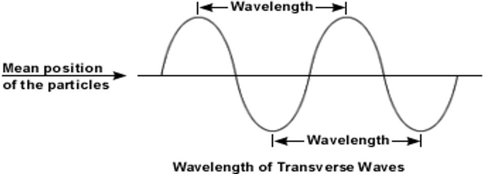 <p>how far the medium moves from the resting position (the volume)</p>