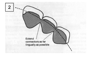 <p>lingually </p>