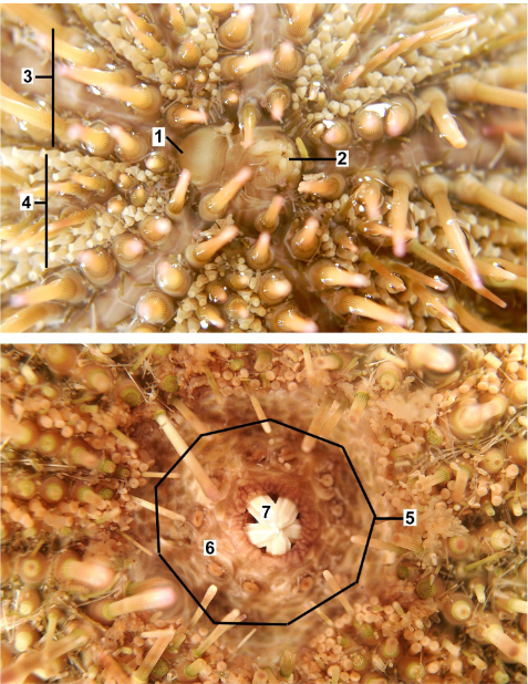 <p>class</p><p>label</p>