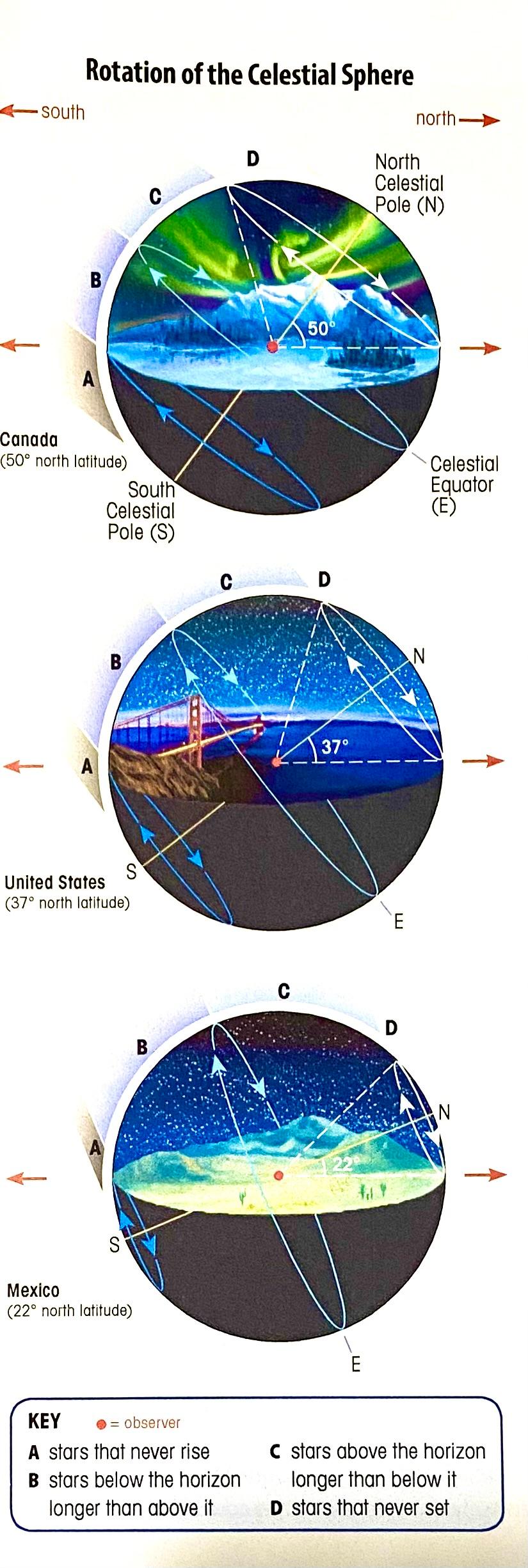 <p><span style="font-family: "Trebuchet MS";"><strong>Celestial equator</strong></span></p>