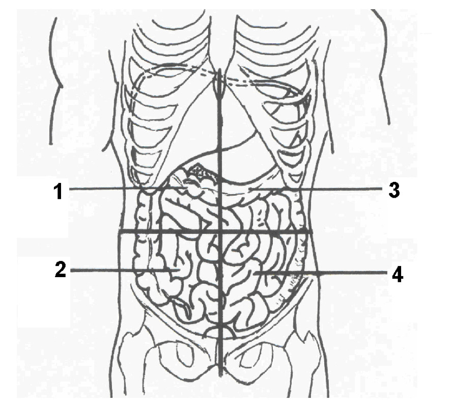 <p>The Right Upper Quadrant</p>