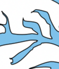 <p>What is this?</p>