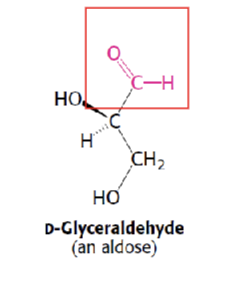 <p>Aldose</p>