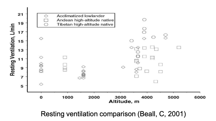 <p>Which group has the highest resting ventilation at altitude?</p>