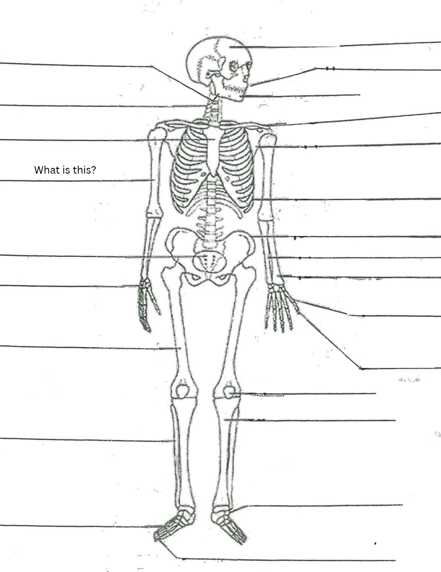 <p>What is this?</p>