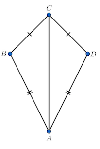 <p></p>
