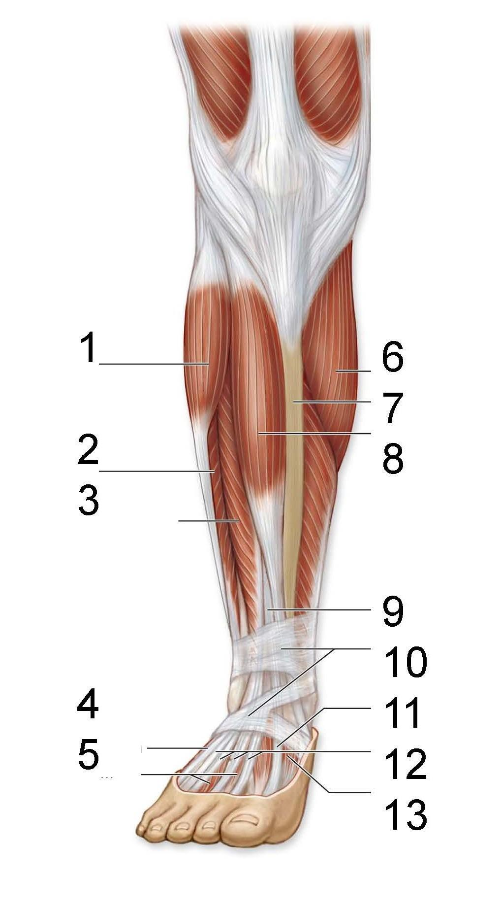 <p>What is identified in the photo 1,2,3,6,8,9</p>