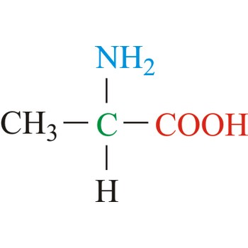 <p>Ala (Non-polar) A</p>