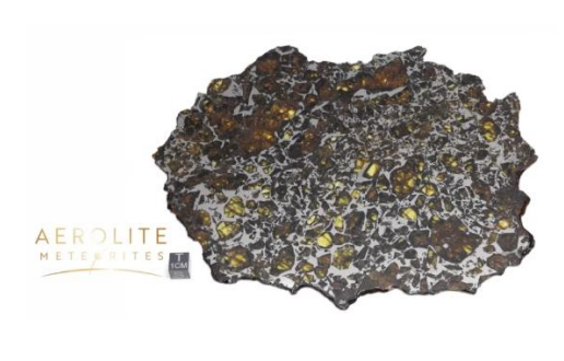 <ul><li><p>rare</p></li><li><p>1-2% of recovered falls</p></li><li><p>equal parts of iron and nickel alloy and silicate minerals </p></li></ul><p></p>