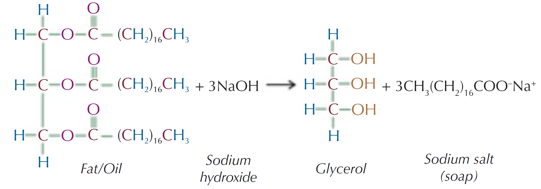 <p>Heating them with NaOH (base hydrolysis):</p><ul><li><p>OH<sup>-</sup> ions from the NaOH react with the fat/oil to form a carboxylate ion &amp; an alcohol</p></li><li><p>The alcohol that is formed in glycerol &amp; the carboxylate ions combine with Na<sup>+</sup> ions from the NaOH to form a sodium salt (soap)</p></li></ul><p></p>