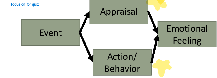<p>Stanley Schachter and Jerry Singer (1960’s) developed what is sometimes referred to as the “Two-Factor” Theory, as an alternative to the James-Lange theory. It does not contradict James- Lange but really speaks to the role of appraisal in determining one emotion from the next</p><p>ex: bridge study - interpret heart rate as attracted to leader but in reality it was a stress respinse to being scared because up higher on suspention bridge </p>