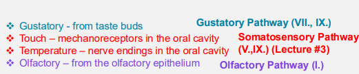 <ul><li><p>Taste is 80% smell</p><ul><li><p>If nose is blocked, foods taste bland</p></li></ul></li><li><p>Mouth also contains thermoreceptors, mechanoreceptors, and nociceptors</p><ul><li><p>Temperature and texture enhance or detract from taste</p></li><li><p>Spicy hot foods can excite pain receptors in mouth, which some people experience as pleasure</p><ul><li><p>Example: hot chili peppers</p></li></ul></li></ul></li></ul><p></p>