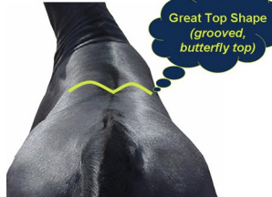 <p>a grooved or butterfly top</p>