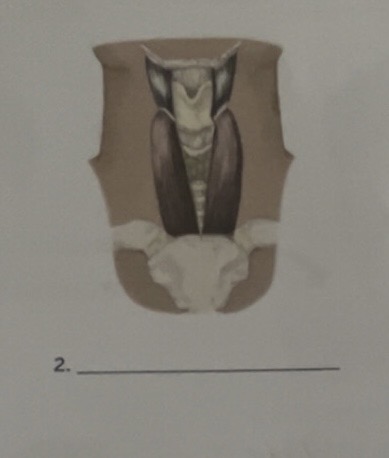 <p> </p>