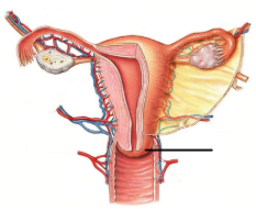 <p><span style="line-height: 17.375px;">Identify&nbsp;</span></p>