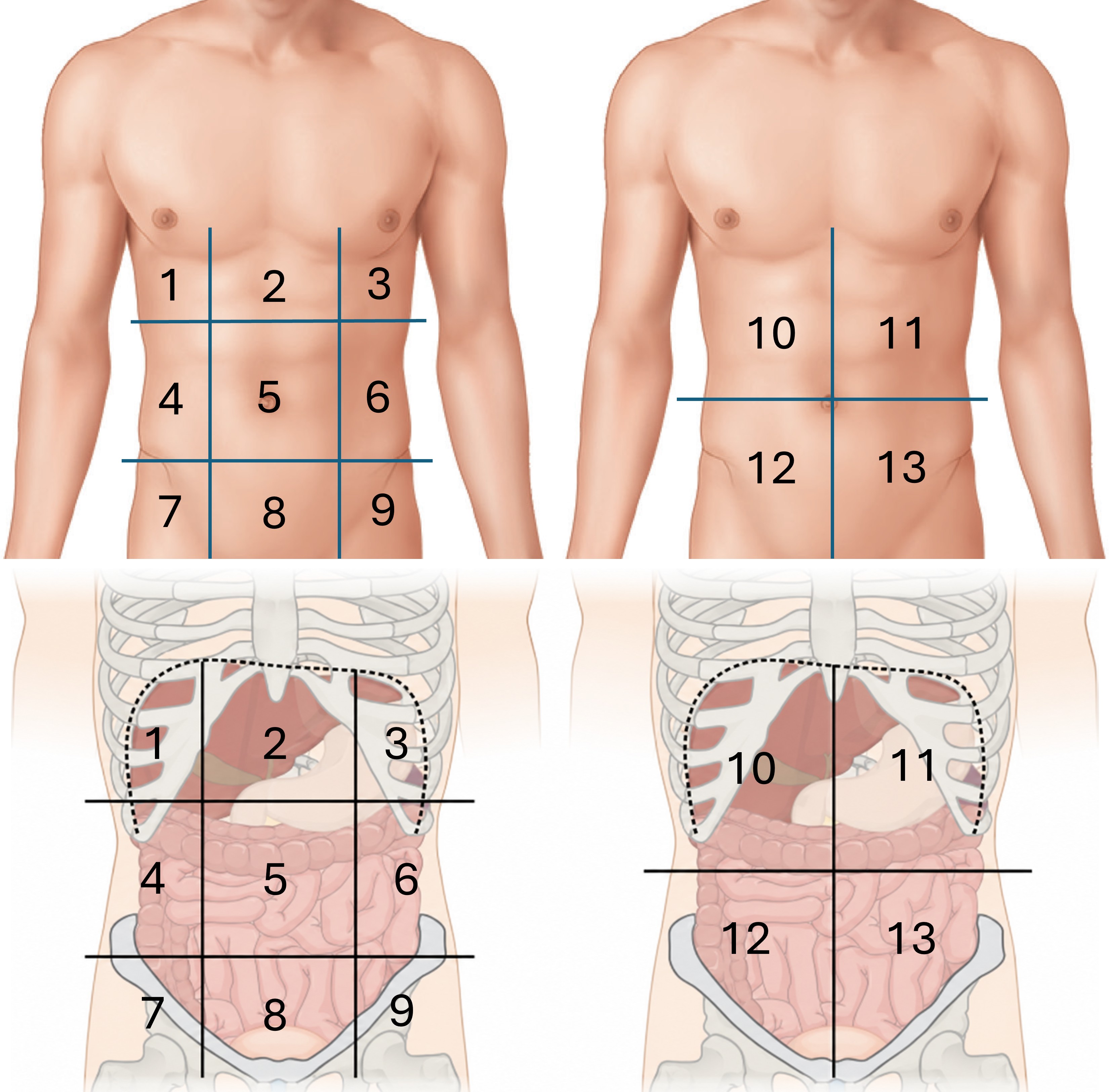 <p>13.</p>