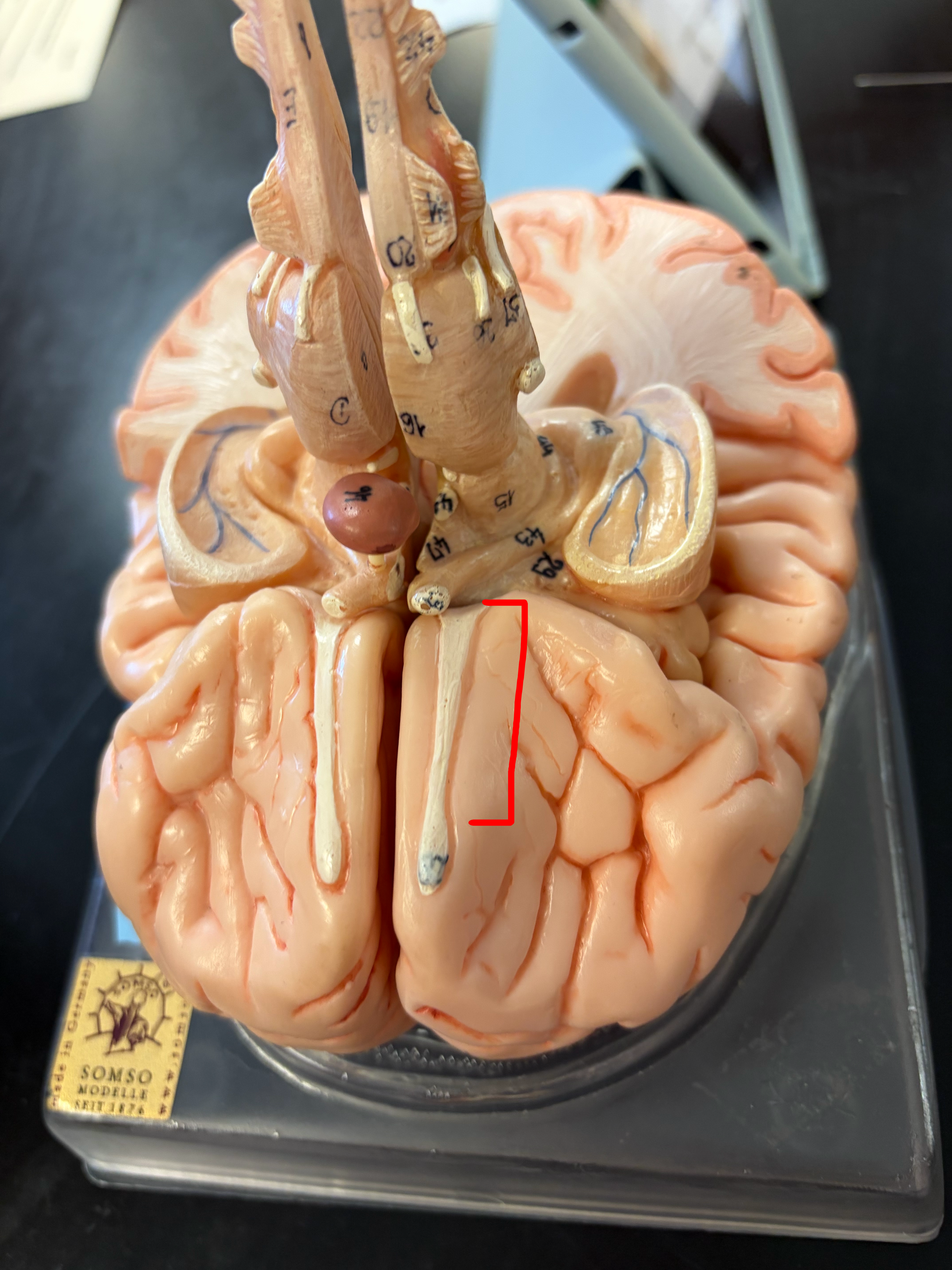 <p>What is this area called?</p>