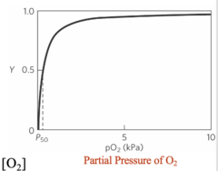 <p>partial pressure (pO2)</p>