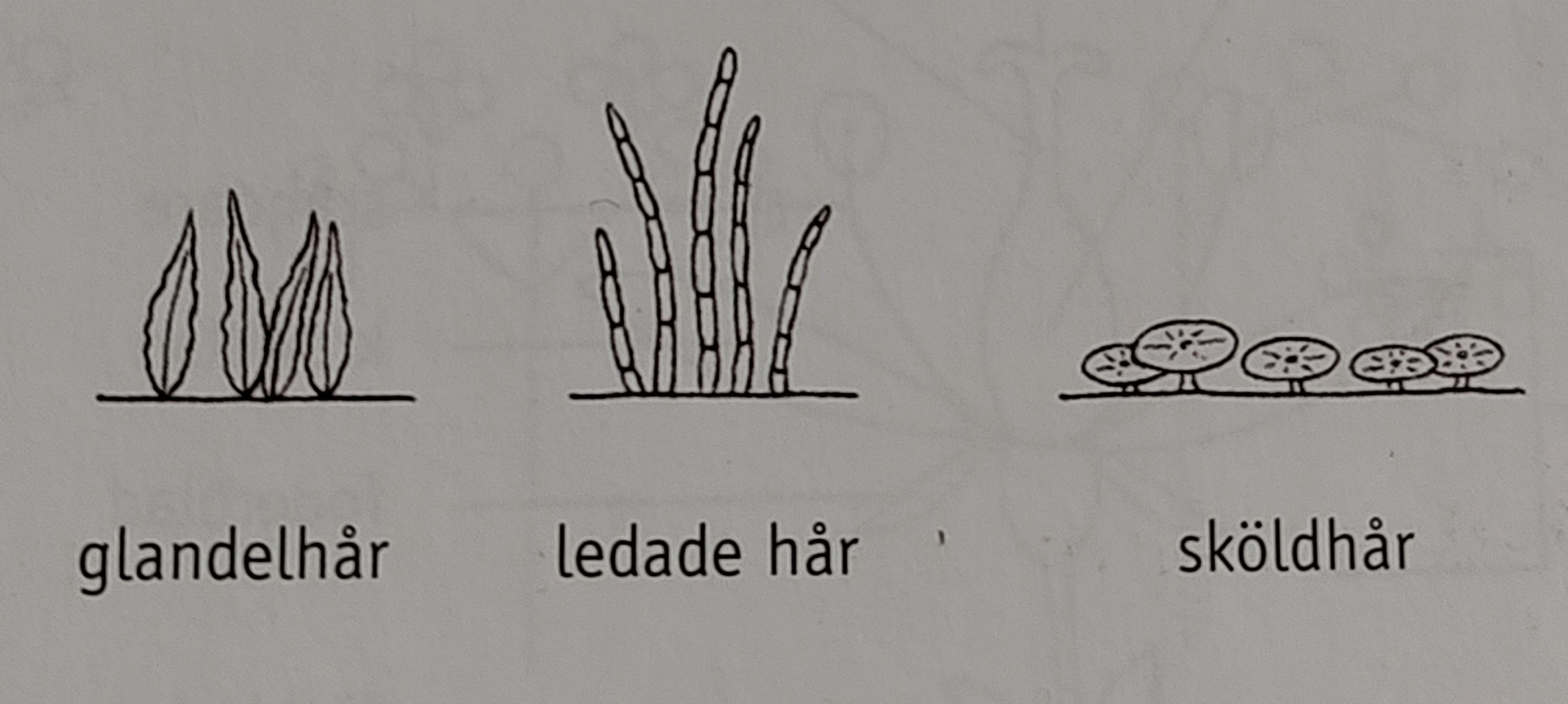 <p></p>