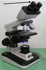 <p>What part of the microscope does the arrow indicate</p>