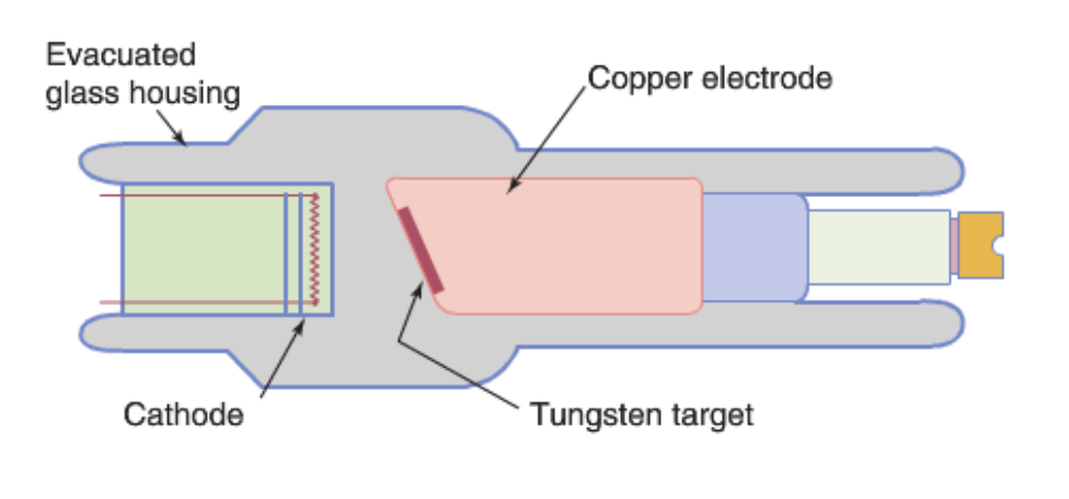 <ul><li><p>copper supports tungsten target and removes heat</p></li><li><p>small target area limits heat dissipation rate and thus, limits maximum tube current, x-ray flux</p></li><li><p>dental x-ray units, portable x-ray units use fixed anode x-ray tube</p></li></ul><p></p>